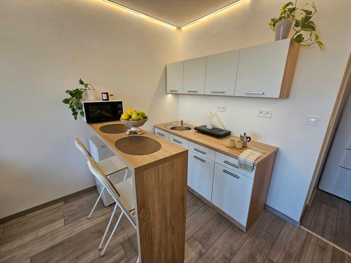 PREDAJ - Zrekonštruovaná garsónka vo vyhľadávanej lokalite - Nitra — foto 4