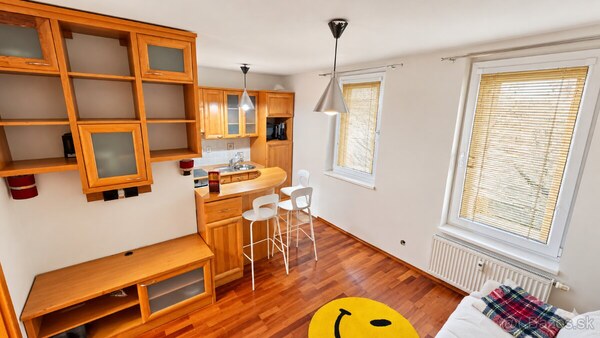 PRENÁJOM - 2-izbový útulný byt pod Bratislavským hradom – Zámocká, BA