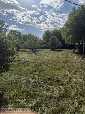 TISZA NA DOSAH UDICE – REKREAČNÝ DOM V TISZALÖKU — foto 13