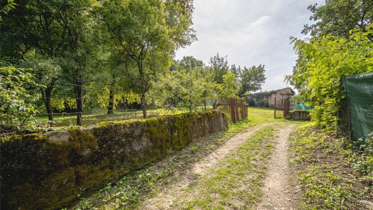 Rekreačný pozemok 4 500 m² s vlastným lesom – Košice-Krásna — foto 6