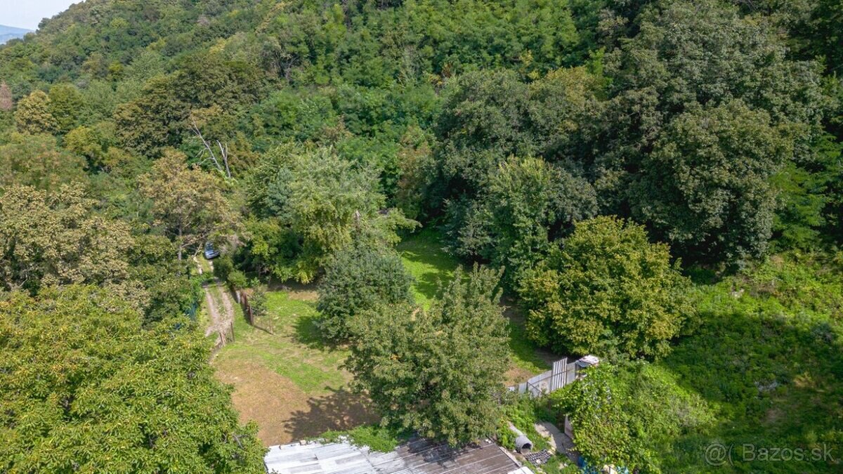 Rekreačný pozemok 4 500 m² s vlastným lesom – Košice-Krásna — foto 7
