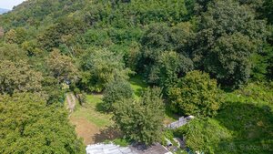 Rekreačný pozemok 4 500 m² s vlastným lesom – Košice-Krásna — foto 7