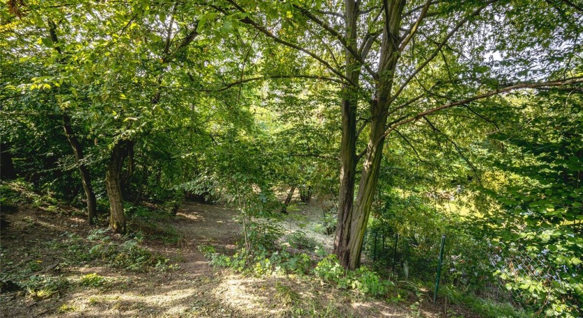 Rekreačná záhrada 1 441 m² v objatí prírody – Košice-Krásna — foto 4