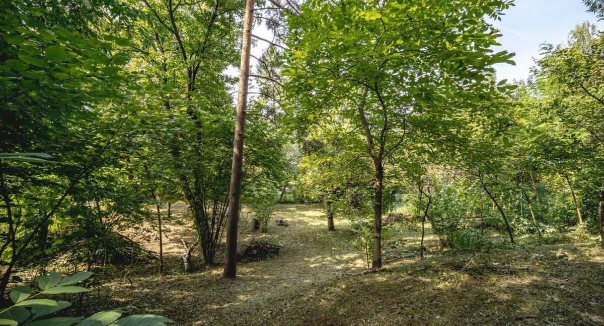 Rekreačná záhrada 1 441 m² v objatí prírody – Košice-Krásna — foto 5