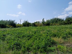 Na predaj pozemok s gazdovským domom Gyňov - Košice okolie — foto 8