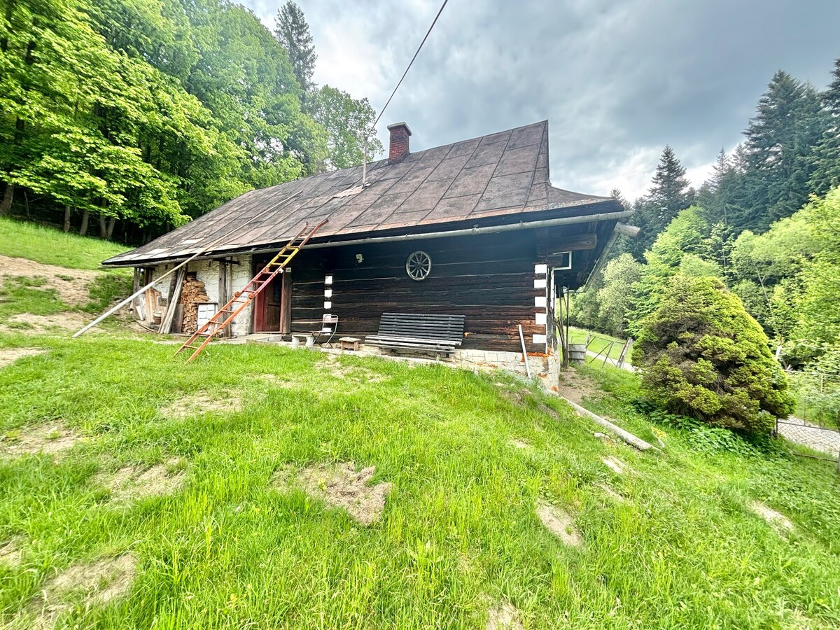 Predaj drevenice v nádhernom prostredí Zákopčia — foto 3