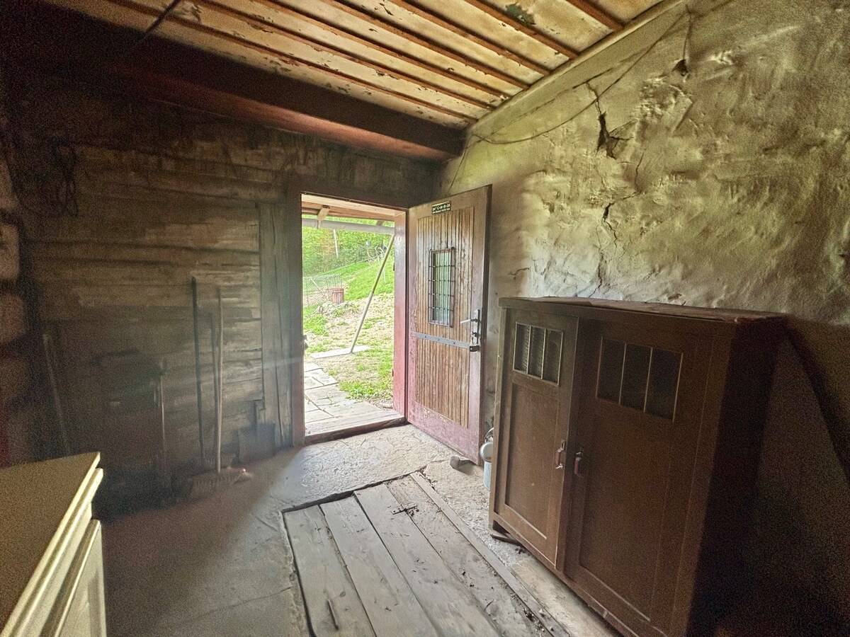 Predaj drevenice v nádhernom prostredí Zákopčia — foto 7