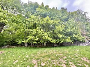 Predaj drevenice v nádhernom prostredí Zákopčia — foto 5