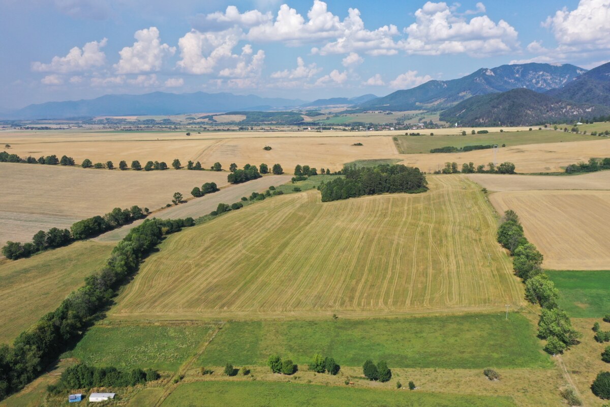 Ponúkame na predaj orná pôda a lesný pozemok 141097 m2 v Mošovciach — foto 2
