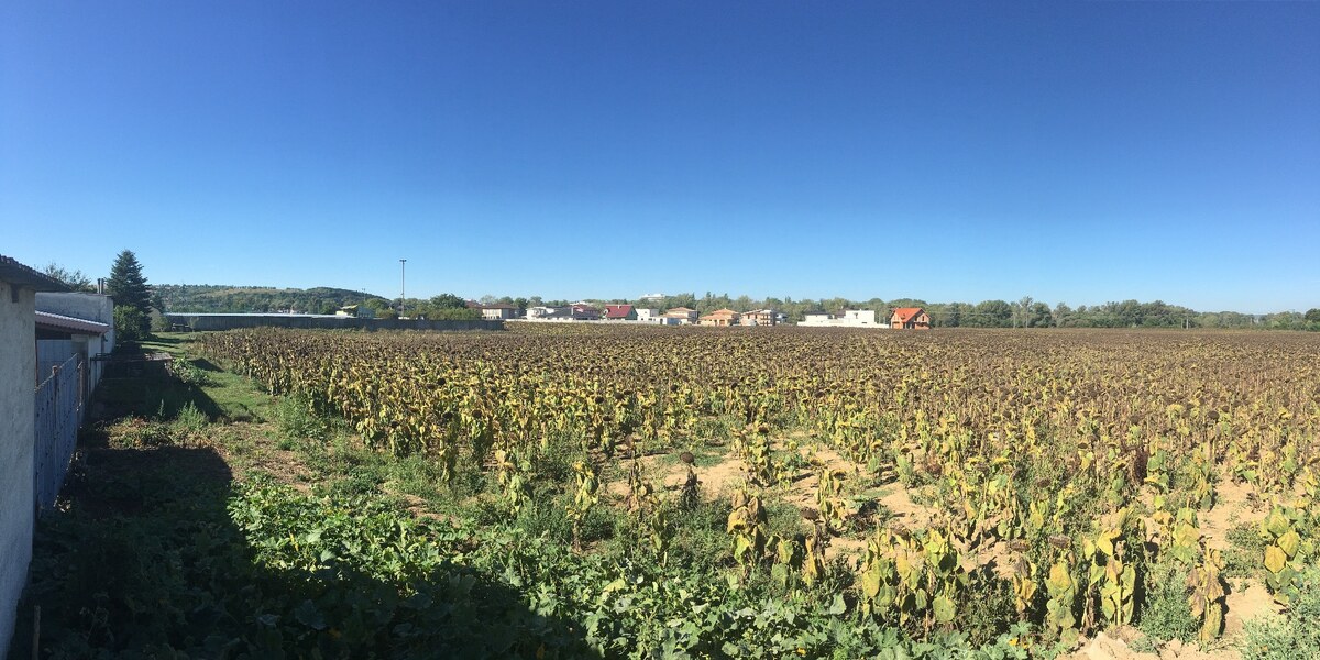 Ponúkame na predaj pozemok 1587 m2 v Moravanoch nad Váhom — foto 3