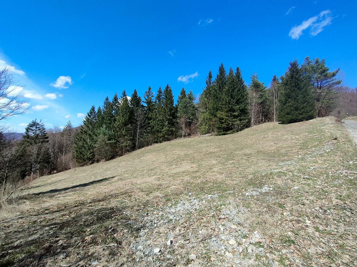 Predaj: Krásny rekreačný pozemok 2700 m2 v Terchovej (MO) — foto 4