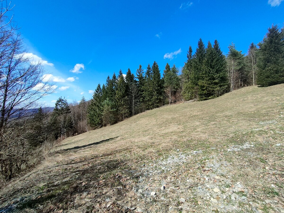 Predaj: Krásny rekreačný pozemok 2700 m2 v Terchovej (MO) — foto 7
