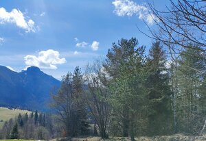 Predaj: Krásny rekreačný pozemok 2700 m2 v Terchovej (MO) — foto 6