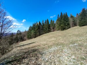 Predaj: Krásny rekreačný pozemok 2700 m2 v Terchovej (MO) — foto 7