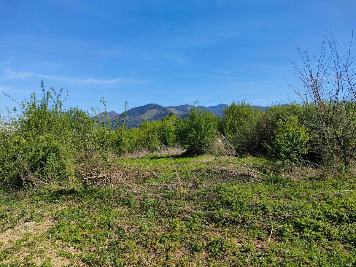 Predaj: Priemyselný pozemok v Strečne pri Žiline 2570 m2 — foto 9