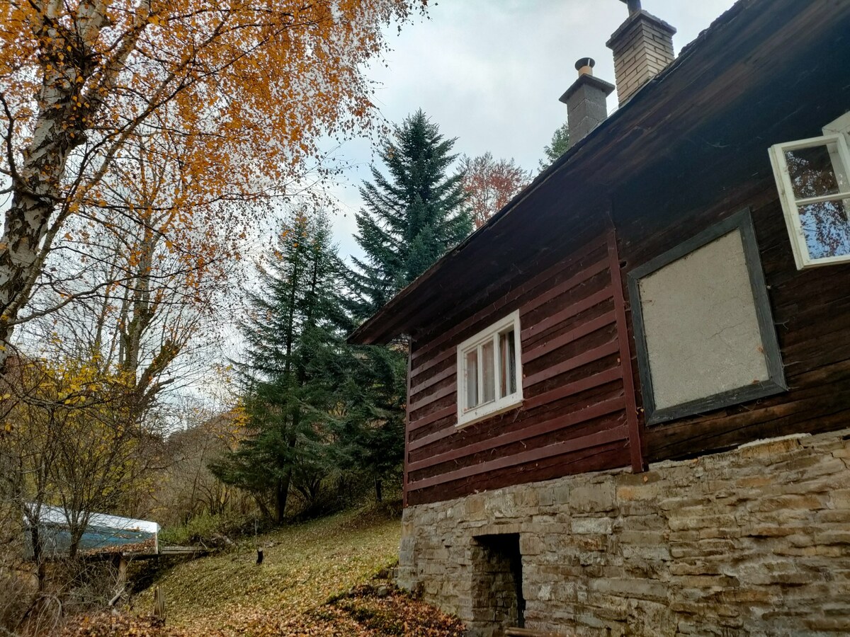 Predaj: Drevenica s veľkým pozemkom v Terchovej-časť Šípková (MO) — foto 18