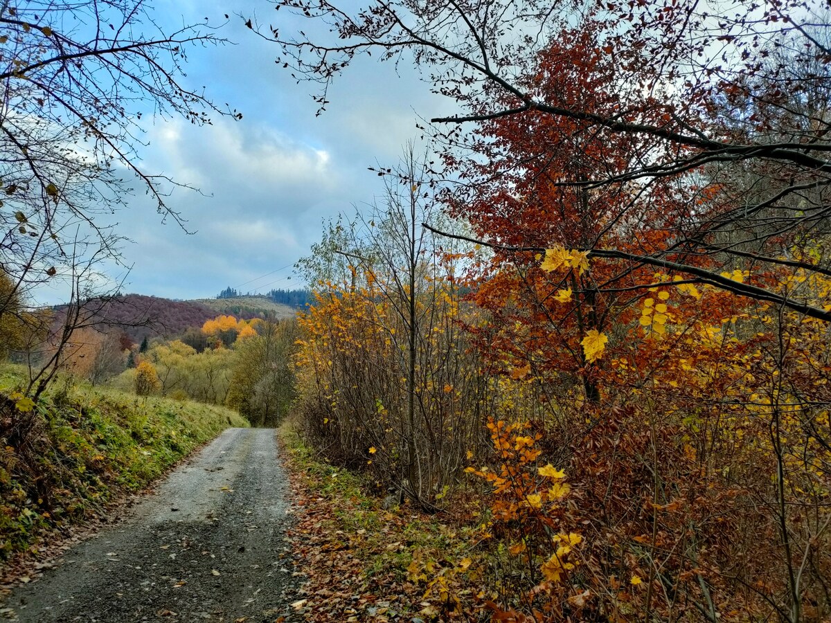 Predaj: Drevenica s veľkým pozemkom v Terchovej-časť Šípková (MO) — foto 20