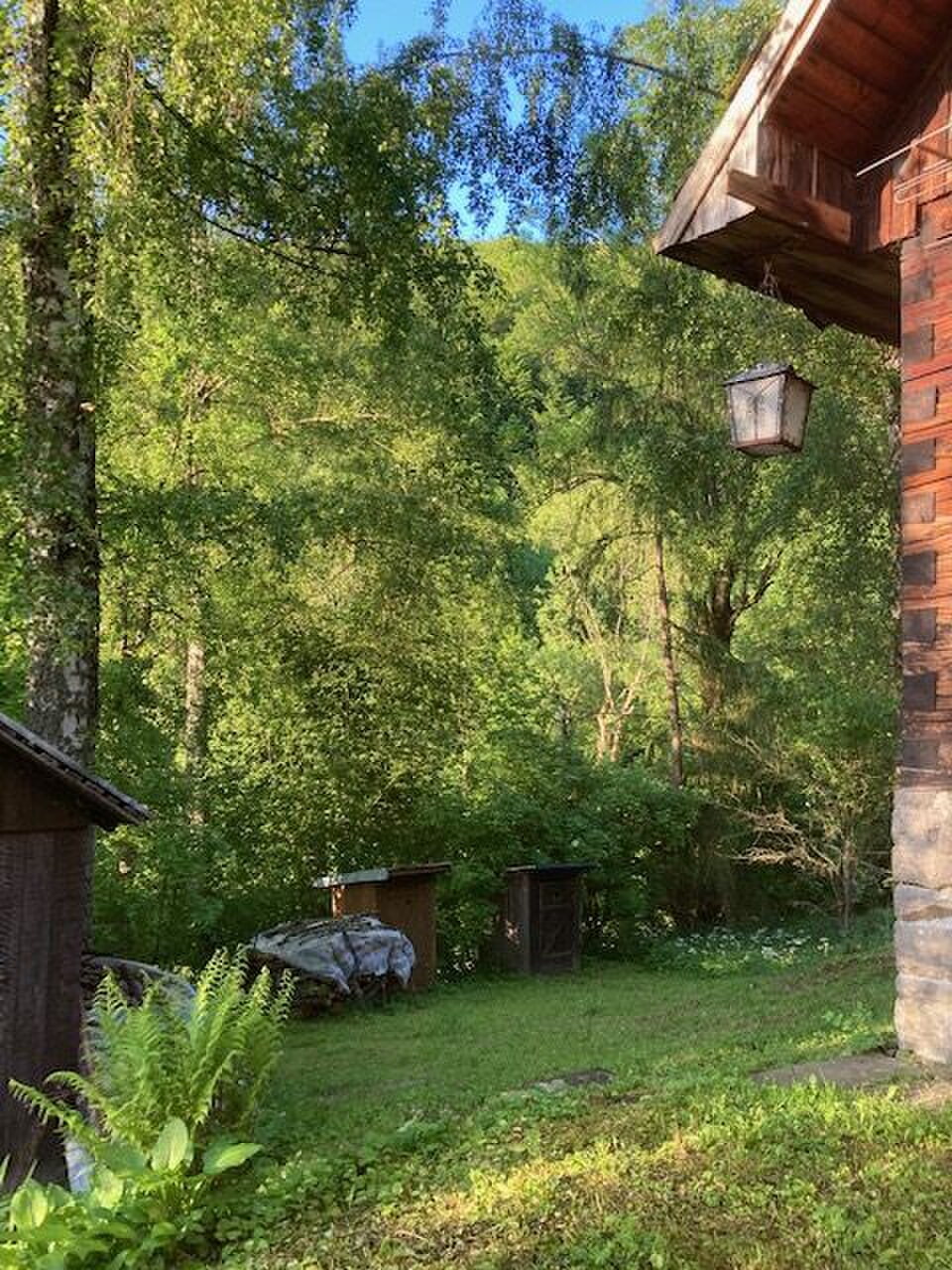 Predaj: Drevenica s veľkým pozemkom v Terchovej-časť Šípková (MO) — foto 5