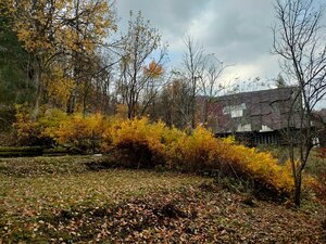 Predaj: Drevenica s veľkým pozemkom v Terchovej-časť Šípková (MO) — foto 17