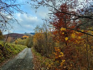 Predaj: Drevenica s veľkým pozemkom v Terchovej-časť Šípková (MO) — foto 20
