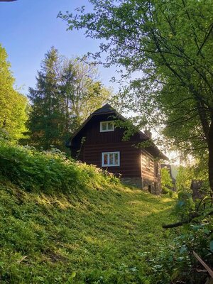 Predaj: Drevenica s veľkým pozemkom v Terchovej-časť Šípková (MO) — foto 3