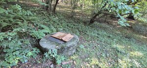Predaj: Romantická rekreačná chata uprostred lesa vo Varíne (MO) — foto 7