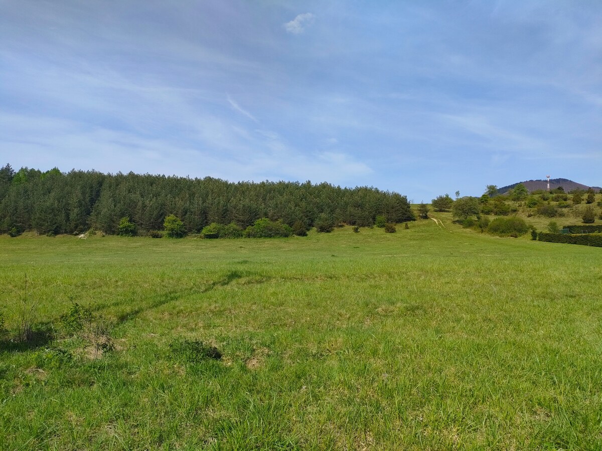 Predaj : Rekreačný pozemok v krásnom prostredí Rajeckej Lesnej ( MO ) — foto 10