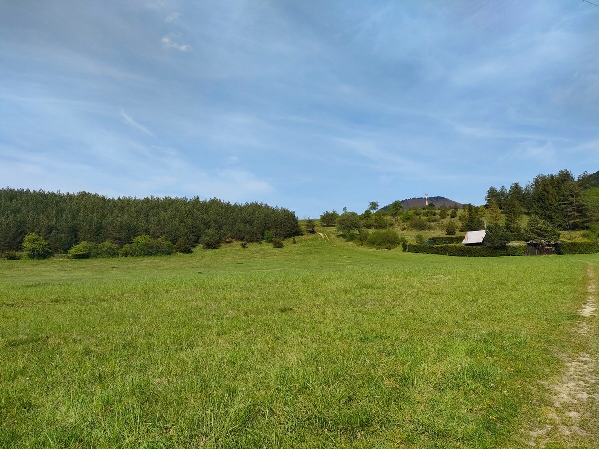 Predaj : Rekreačný pozemok v krásnom prostredí Rajeckej Lesnej ( MO ) — foto 12