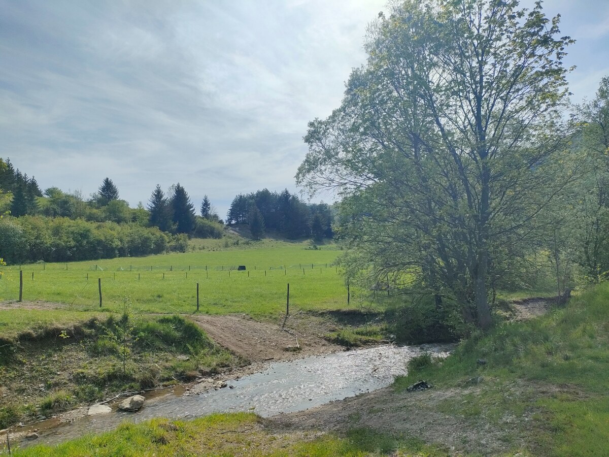 Predaj : Rekreačný pozemok v krásnom prostredí Rajeckej Lesnej ( MO ) — foto 4