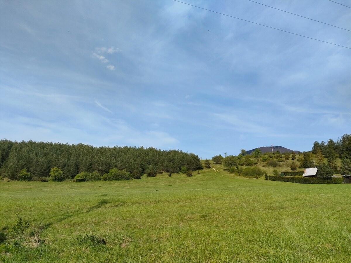 Predaj : Rekreačný pozemok v krásnom prostredí Rajeckej Lesnej ( MO ) — foto 5
