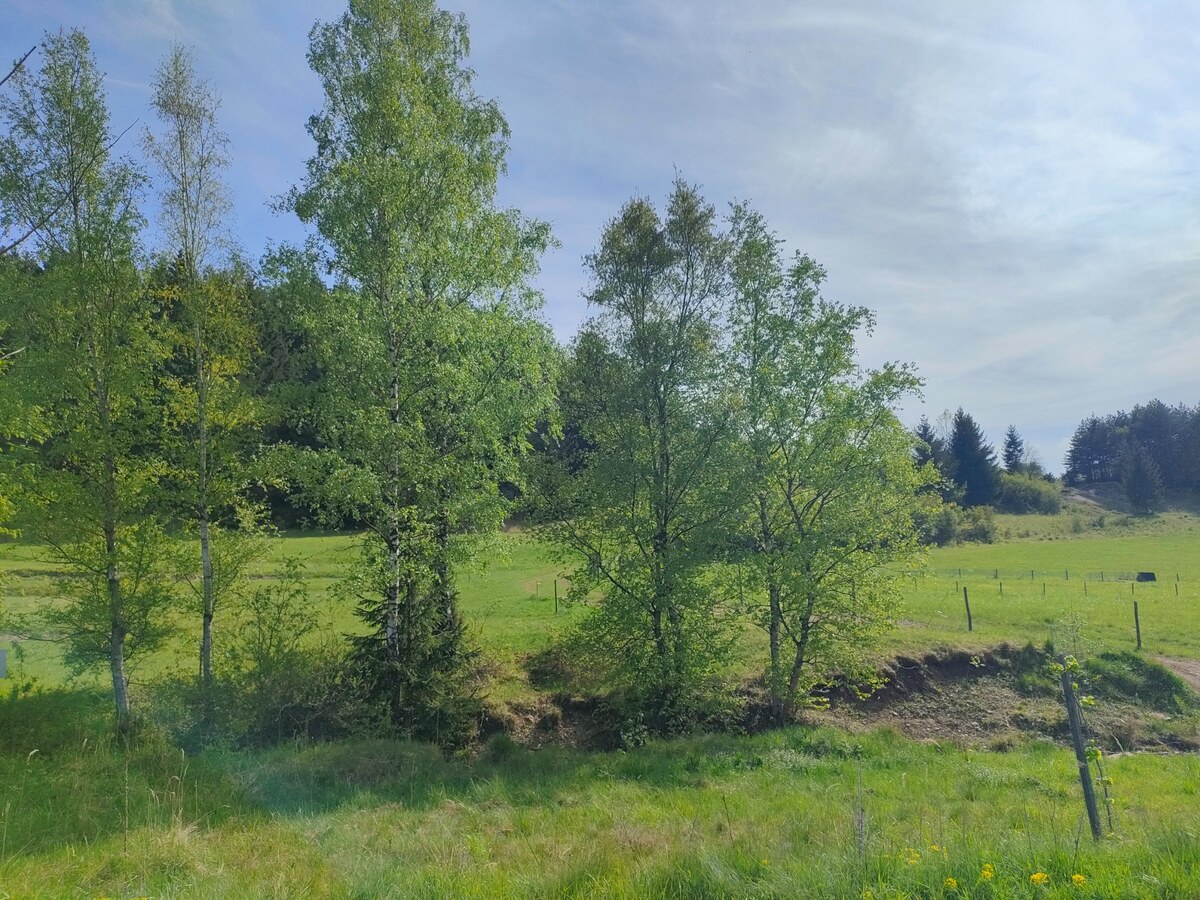 Predaj : Rekreačný pozemok v krásnom prostredí Rajeckej Lesnej ( MO ) — foto 7