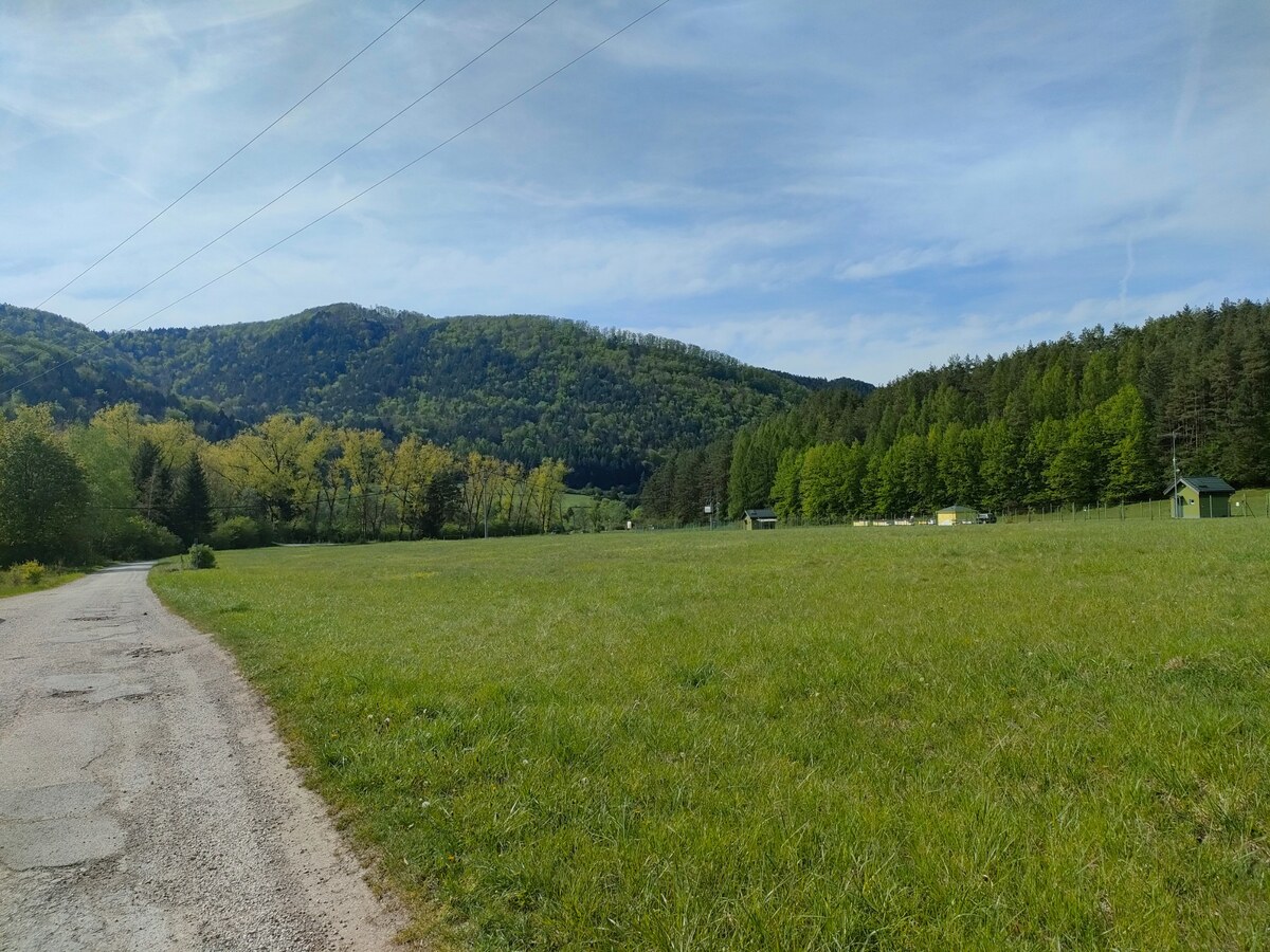 Predaj : Rekreačný pozemok v krásnom prostredí Rajeckej Lesnej ( MO ) — foto 8