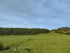 Predaj : Rekreačný pozemok v krásnom prostredí Rajeckej Lesnej ( MO ) — foto 11