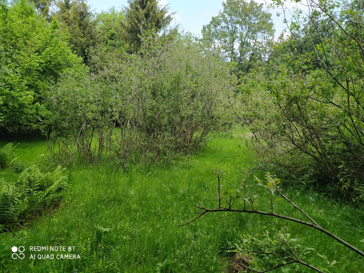 Predaj: pozemky na polosamote v Turkove — foto 4