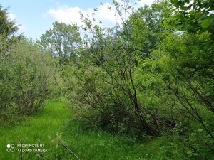 Predaj: pozemky na polosamote v Turkove — foto 3