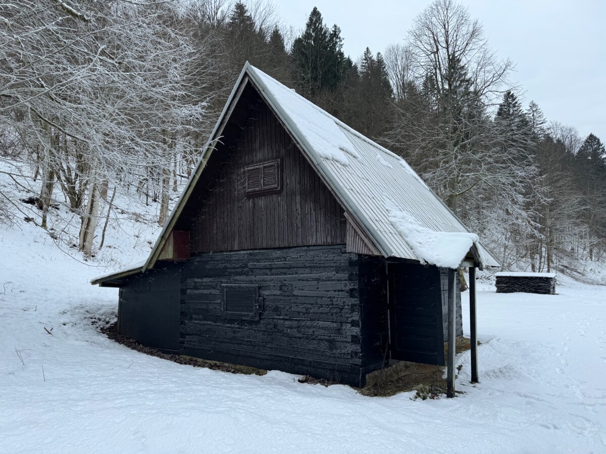 Na predaj drevenička v Belej časť Veľká Bránica — foto 5