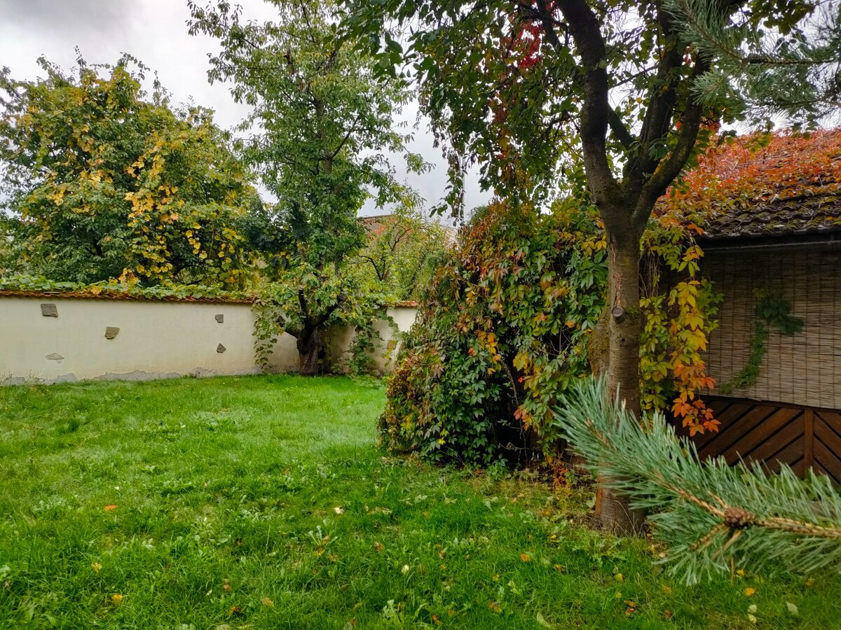 Predaj: Výnimočný dom na bývanie aj podnikanie v KNM (MO) — foto 9