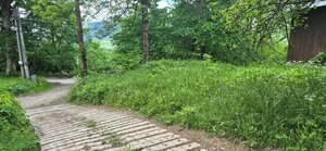 Predaj: Jedinečná ponuka - stavebný pozemok na polosamote v Terchovej — foto 6