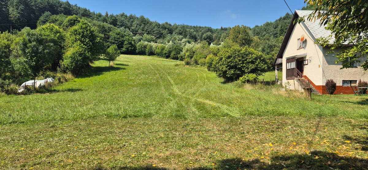 Predaj: Veľkorysý pozemok s výmerou 2873 m² a úžasným súkromím (SŠ) — foto 3