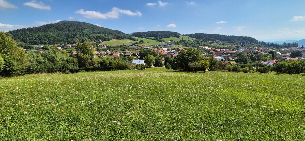 Predaj: Veľkorysý pozemok s výmerou 2873 m² a úžasným súkromím (SŠ) — foto 4