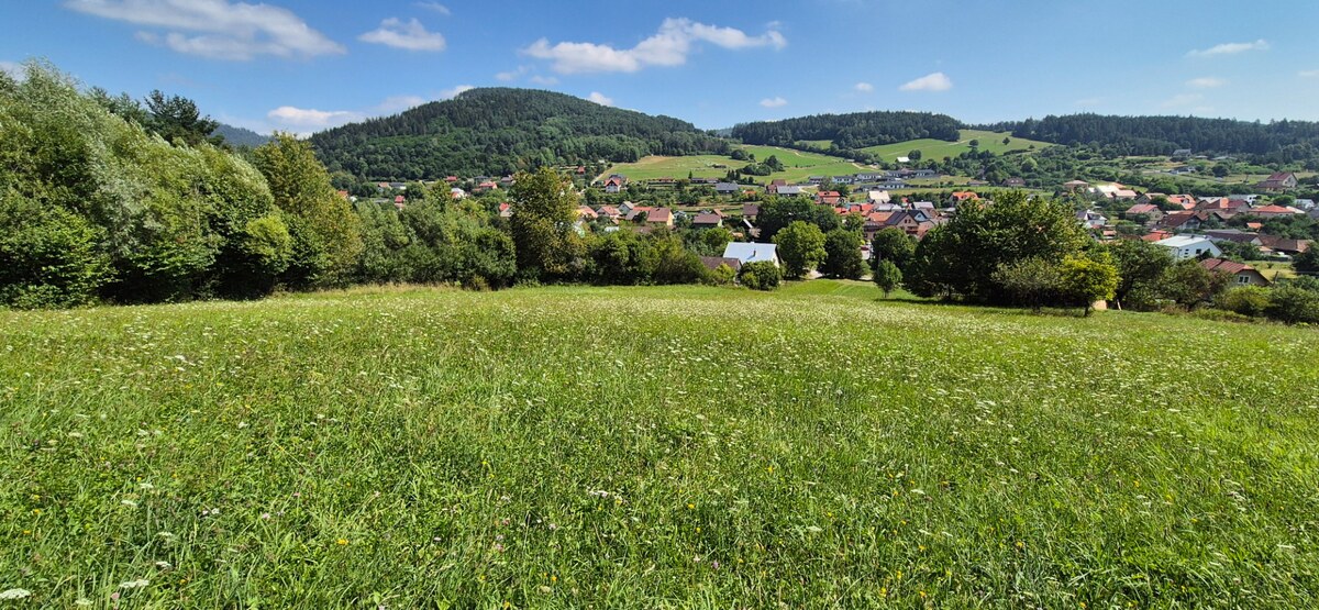 Predaj: Veľkorysý pozemok s výmerou 2873 m² a úžasným súkromím (SŠ) — foto 7