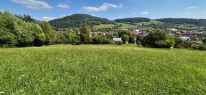 Predaj: Veľkorysý pozemok s výmerou 2873 m² a úžasným súkromím (SŠ) — foto 7