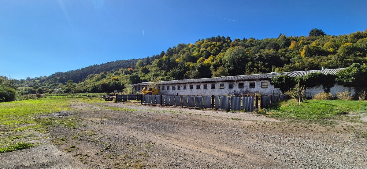 Areál družstva v obci Nesluša- jedinečná investičná príležitosť — foto 11