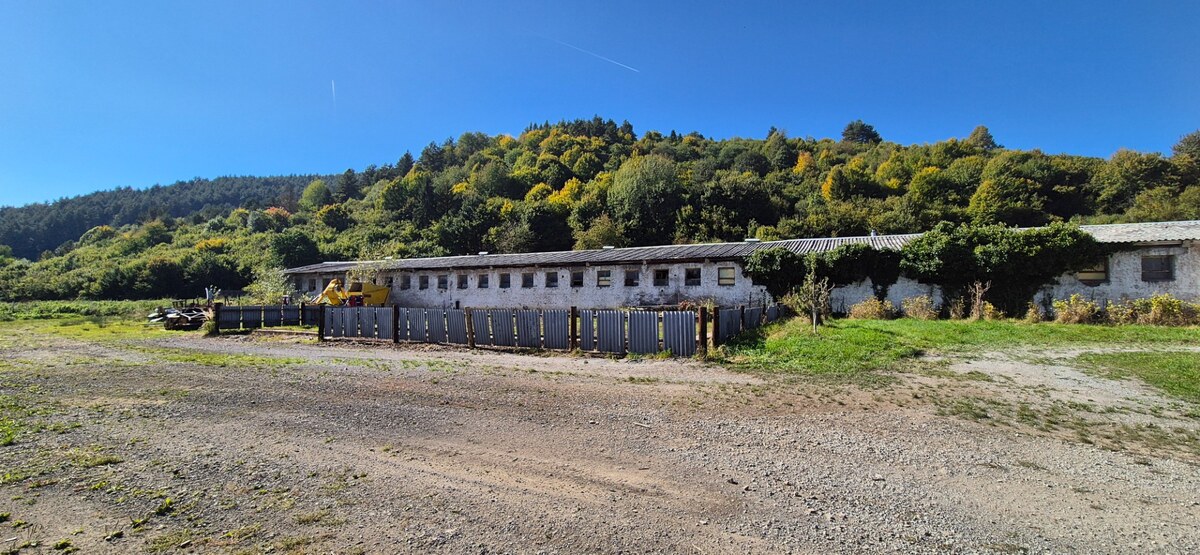 Areál družstva v obci Nesluša- jedinečná investičná príležitosť — foto 9