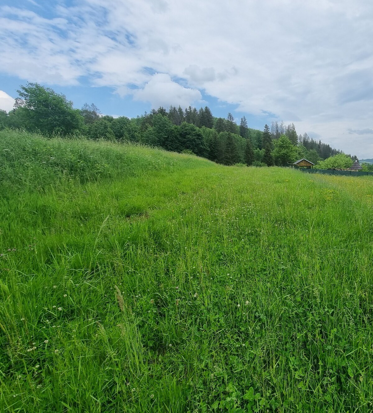 pozemok na výstavbu domu v Čadci- Rieke — foto 3