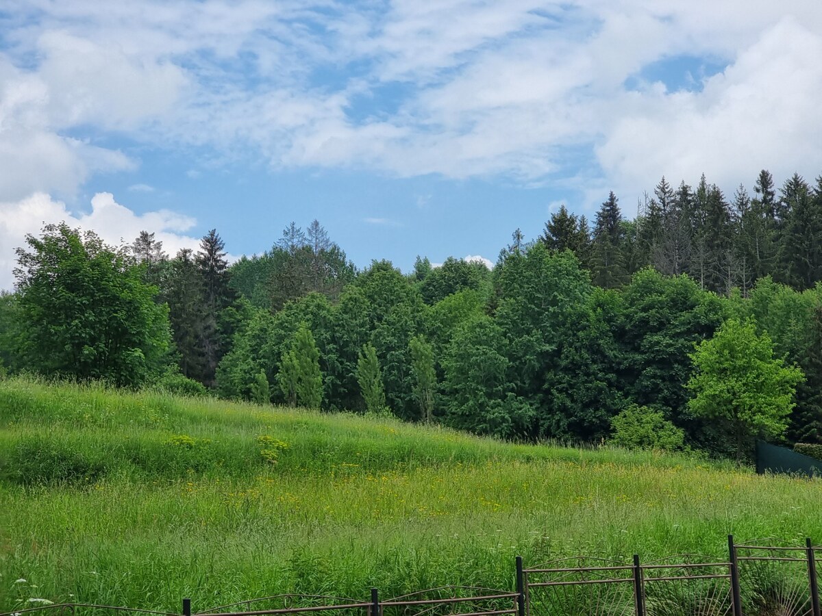 pozemok na výstavbu domu v Čadci- Rieke — foto 4