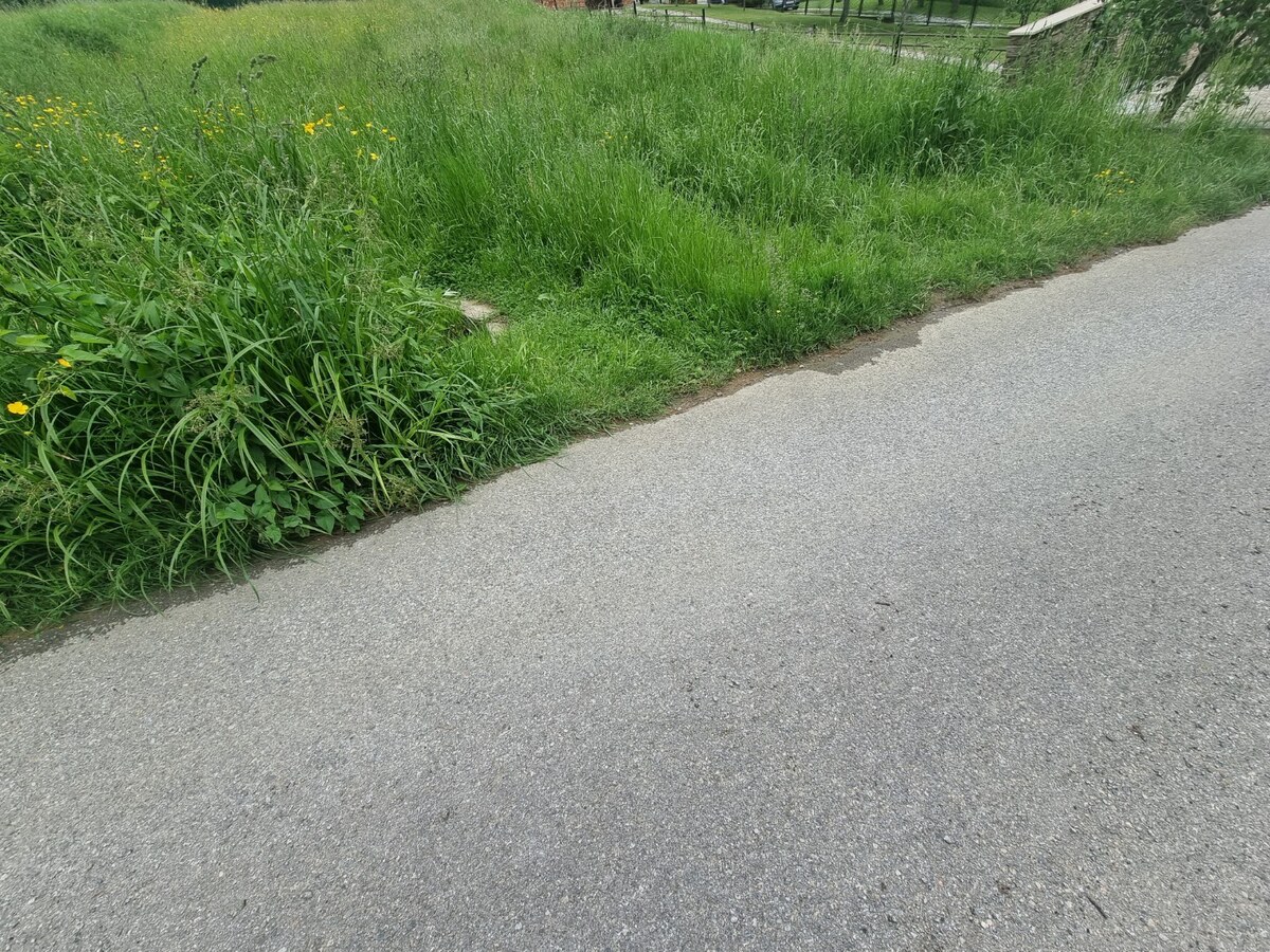 pozemok na výstavbu domu v Čadci- Rieke — foto 9