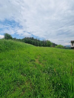 pozemok na výstavbu domu v Čadci- Rieke — foto 2