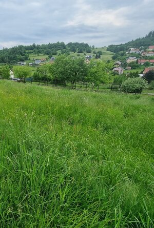 pozemok na výstavbu domu v Čadci- Rieke — foto 6