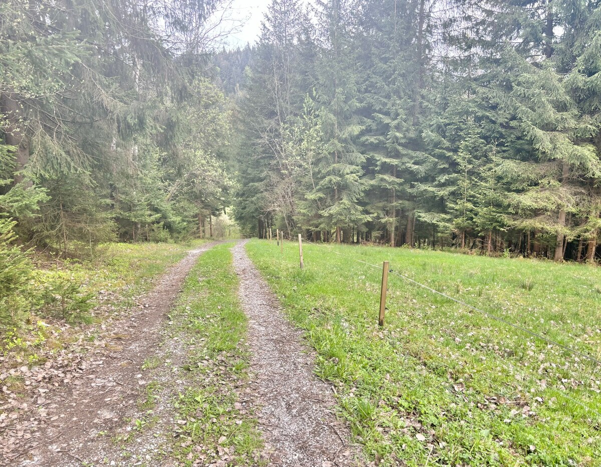 Predaj krásneho pozemku  v jedinečnej prírode v obci Korňa — foto 3